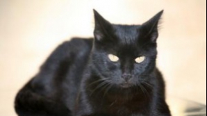 AFLĂ de ce ne fac bine superstiţiile