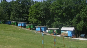 A luat foile de tratament necesare unor invalizi pentru a-şi trimite prietenii la odihnă