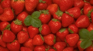 În pieţe au apărut căpşuni autohtone, de două ori mai scumpe decât cele de import 