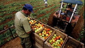 Banca Mondială: Agricultura din Moldova nu este eficientă