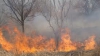 Pompierii în alertă: 30 de incendii de vegetaţie în 24 de ore