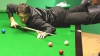 Ronnie O'Sullivan s-a retras temporar din snooker