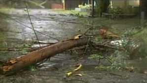 Furtuna şi incendiile fac prăpăd în SUA. 32.000 de oameni au fost evacuaţi din Colorado