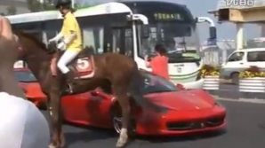 AMUZANT! Ce se întâmplă când un Ferrari se întâlneşte cu un cal VIDEO