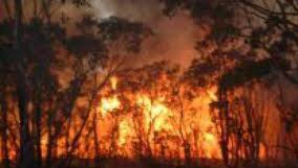 Vremea face ravagii în lume: Incendii în Colorado, taifun în Japonia şi alunecări de teren în Indonezia