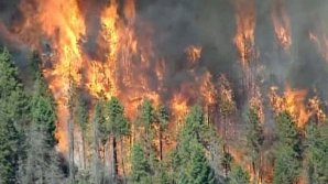 Incendiu devastator în Colorado. 80 de hectare de pădure, cuprinse de flăcări