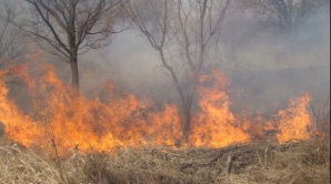 Departamentul Situaţii Excepţionale avertizează: Risc mare de incendii în Republica Moldova