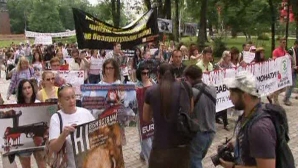 Proteste la Kiev: Oamenii sunt nemulţumiţi de uciderea în masă a câinilor vagabonzi