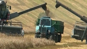 În raioanele din centrul şi nordul ţării începe secerişul