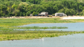 Nu ai bani pentru ştrand? Poţi merge la lacul Valea Morilor
