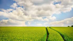 Mâine vremea va fi frumoasă