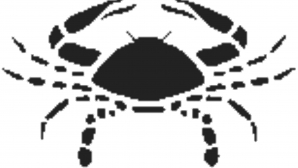 Horoscop: Racii se pregătesc pentru o călătorie 