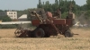 Moldova, lovită de secetă cumplită: Semănăturile de grâu sunt afectate aproape în totalitate, iar agricultorii sunt disperaţi