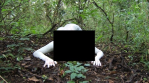 Creatura bizară, descoperită într-o pădure. "Cred că a fost om, dar a renunţat la trupul său şi s-a mutilat"