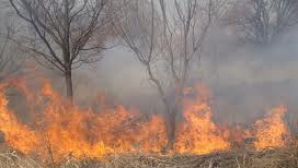 Stare de urgenţă în Siberia de Vest şi regiunea munţilor Ural, din cauza incendiilor 