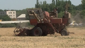 Moldova, lovită de secetă cumplită: Semănăturile de grâu sunt afectate aproape în totalitate, iar agricultorii sunt disperaţi