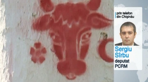 Comuniştii nu exclud că inscripţiile de la Vadul lui Vodă aparţin simpatizanţilor PCRM