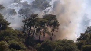 Grecia şi Portugalia, în flăcări din cauza temperaturilor ridicate 