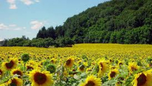 Mâine cerul va fi senin şi 32 de grade vom avea în Capitală