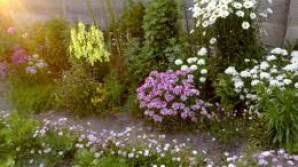 Vreme caniculară în următoarele şapte zile