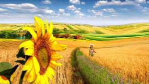 Vreme frumoasă cu soare şi 27 de grade în Capitală