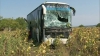 Accident lângă vama Leuşeni: Un autobuz cu aproape 40 de pasageri a doborât trei copaci VIDEO