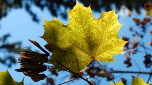Cum va fi vremea în prima zi de toamnă