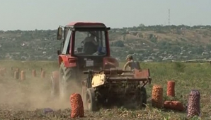 Fermierii nu-şi vor primi toate subvenţiile până la sfârşitul anului 