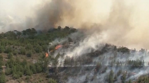 Incendiu de proporţii pe insula Xios. Jumătate din suprafeţele de arbori de cauciuc au fost distruse