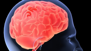 Creierul uman are propriul „detector” al ironiei!