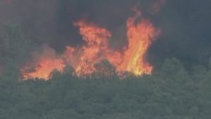 Vremea face ravagii în lume. Incendii de pădure în SUA şi Spania şi inundaţii în Rusia şi Vietnam