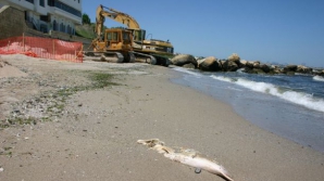 Moldovean mort în Italia! S-a înecat în mare