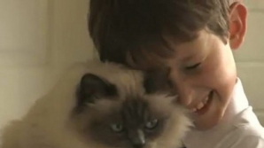 Pisica anului în Marea Britanie: Şi-a ajutat stăpânul mut să vorbească VIDEO