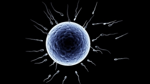 Revoluţie în contracepţie: A fost concepută prima pilulă non-hormonală pentru bărbaţi