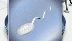 Spermatozoizi din piele. Bărbaţii infertili ar putea avea copiii proprii