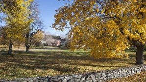 Anotimpurile ne influenţează personalitatea