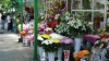 Moldovenii nu se prea grăbesc să cumpere flori în prima zi de şcoală. Vezi preţurile