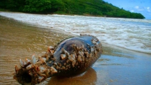A fost găsit cel mai vechi mesaj în sticlă! Ce scrie pe hârtia aruncată în mare cu 100 de ani în urmă