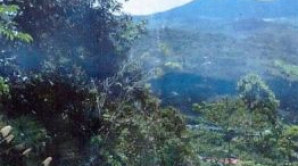 Imagini înfricoşătoare! Marşul fantomelor soldaţilor morţi în al Doilea Război Mondial FOTO