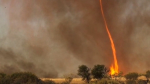 Fenomen extrem de rar şi periculos, în Australia. IMAGINI VIDEO cu "focul Diavolului"
