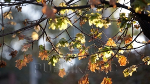  Pentru următoarele şapte zile, meteorologii promit vreme bună şi mult soare 