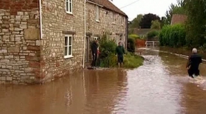 Londra: O femeie a murit după ce a fost strivită de un copac 