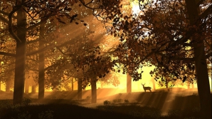 Soare generos şi maxime confortabile toată săptămâna, promit meteorologii