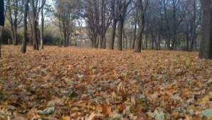 În următoarele zile, vremea rece pune stăpânire pe întreaga ţară