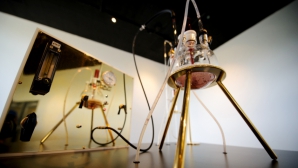 S-a descoperit o specie de bacterie care poate produce aur pur dintr-o substanţă toxică 