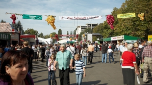 Tot mai puţini vizitatori la Ziua Vinului. Bumacov: Societatea nu este pregătită pentru această sărbătoare