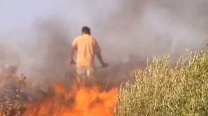 Şeful Serviciului Federal de Securitate din Rusia: Al-Qaeda dă foc pădurilor din Europa