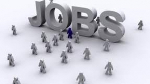 Mii de oferte pentru şomeri. VEZI ce îţi propune Agenţia Pentru Ocuparea Forţei de Muncă