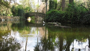 Iaz cu cea mai pură apă şi oază de verdeaţă la Grădina Zoologică din Capitală