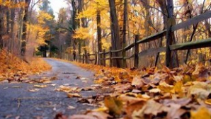 Vreme răcoroasă şi ploi în următoarele şapte zile